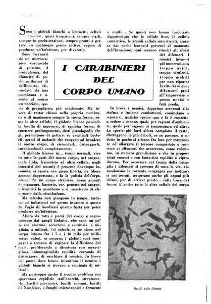 Varietas rivista illustrata