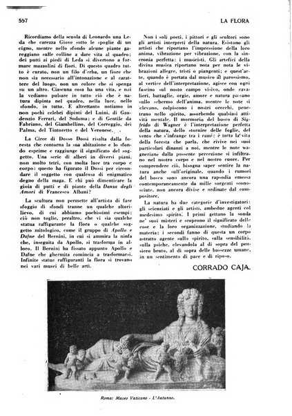 Varietas rivista illustrata