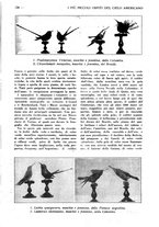 giornale/CFI0307758/1927/unico/00000747