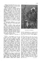 giornale/CFI0307758/1928/unico/00000043