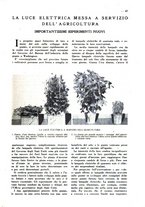 giornale/CFI0307758/1928/unico/00000055