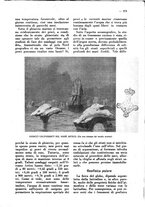 giornale/CFI0307758/1928/unico/00000335