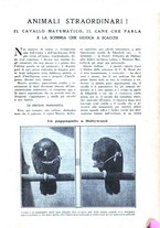 giornale/CFI0307758/1928/unico/00000407