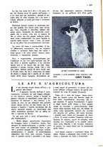 giornale/CFI0307758/1928/unico/00000445