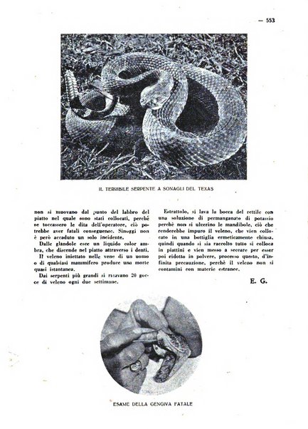 Varietas rivista illustrata