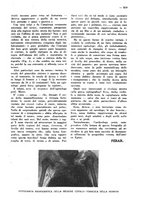 giornale/CFI0307758/1928/unico/00000491