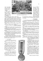 giornale/CFI0307758/1930-1931/unico/00000394