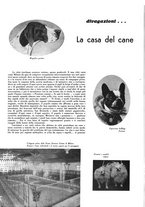 giornale/CFI0307758/1933/unico/00000102