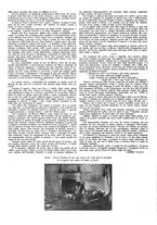 giornale/CFI0307758/1933/unico/00000142