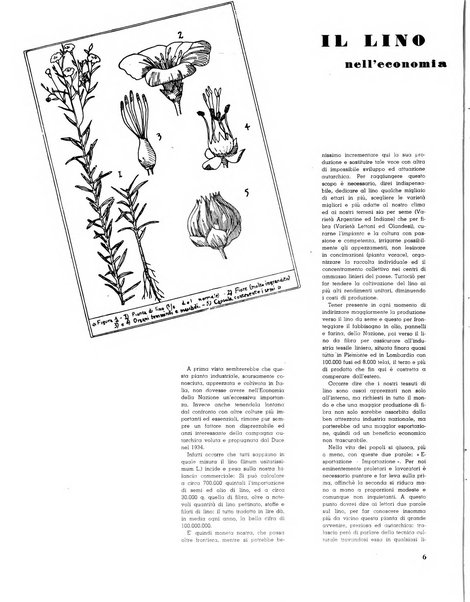 Varietas rivista illustrata