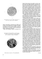 giornale/CFI0307758/1939-1940/unico/00000191