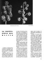 giornale/CFI0307758/1939-1940/unico/00000416