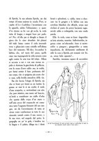 giornale/CFI0310629/1918/unico/00000255