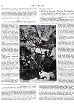 giornale/CFI0317246/1934-1936/unico/00000208