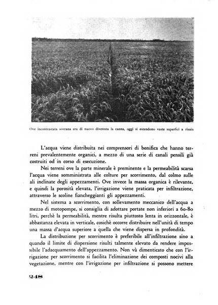 Rivista di estimo agrario e genio rurale