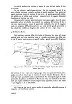 giornale/CFI0337303/1939/unico/00000432