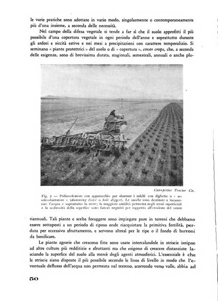 Rivista di estimo agrario e genio rurale