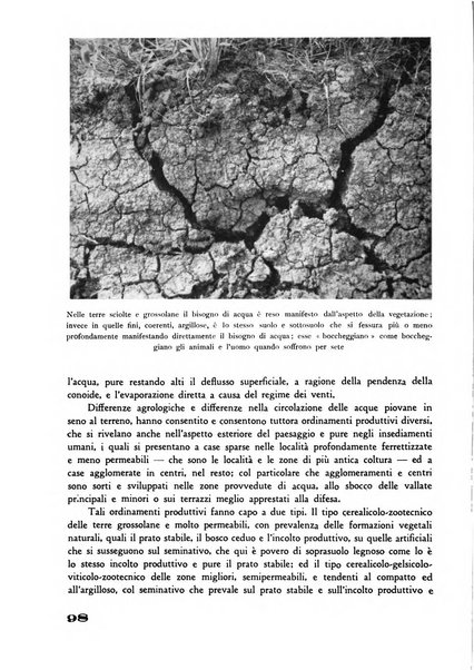 Rivista di estimo agrario e genio rurale