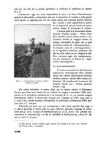giornale/CFI0337303/1940/unico/00000182