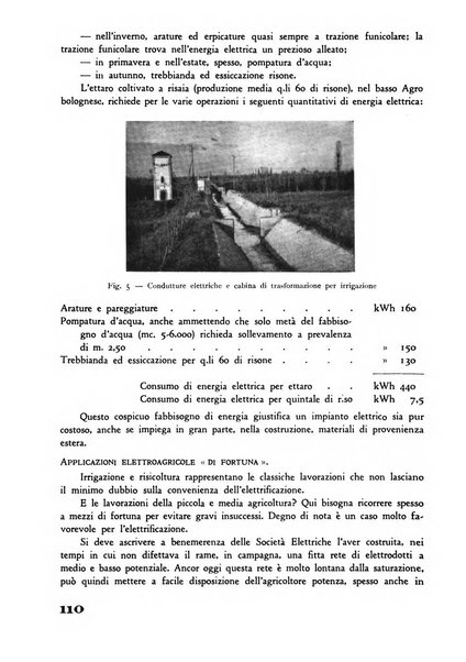 Rivista di estimo agrario e genio rurale