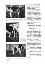 giornale/CFI0337303/1940/unico/00000422