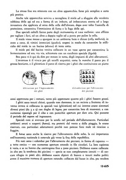 Rivista di estimo agrario e genio rurale