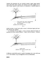 giornale/CFI0337303/1940/unico/00000660