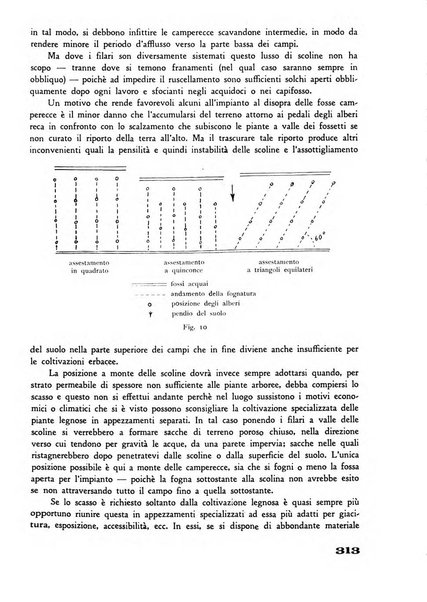 Rivista di estimo agrario e genio rurale