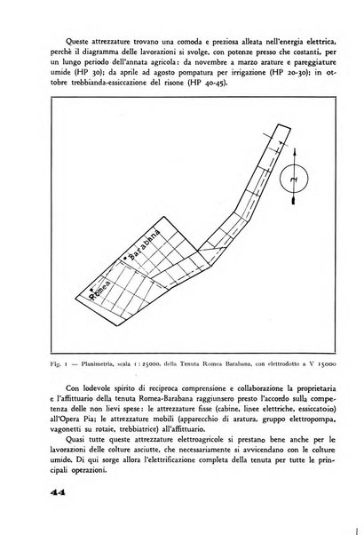 Rivista di estimo agrario e genio rurale