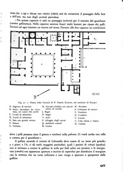 Rivista di estimo agrario e genio rurale