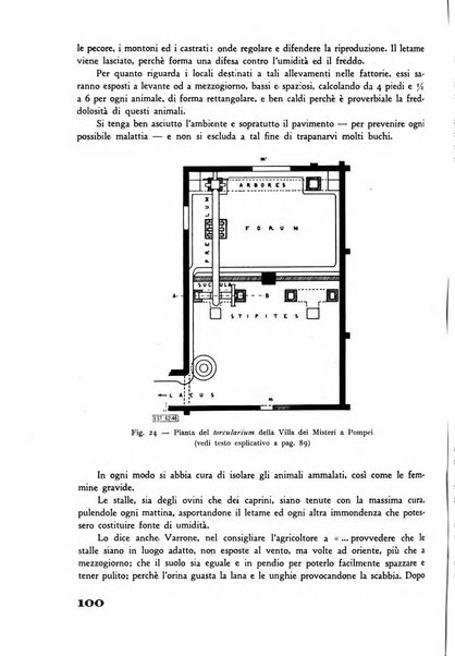 Rivista di estimo agrario e genio rurale