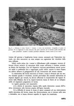 giornale/CFI0337303/1941/unico/00000261