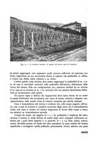 giornale/CFI0337303/1941/unico/00000265