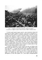 giornale/CFI0337303/1942/unico/00000015