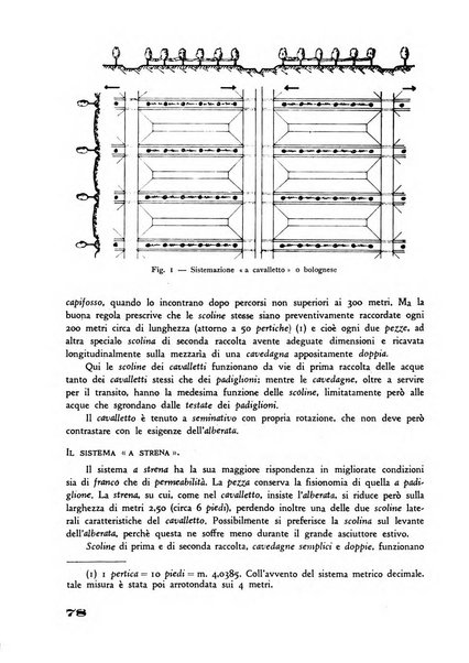 Rivista di estimo agrario e genio rurale