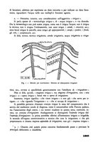 giornale/CFI0337303/1942/unico/00000217