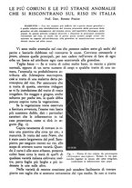 giornale/CFI0337303/1946/unico/00000071