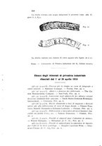 giornale/CFI0343582/1916/V.5/00000372