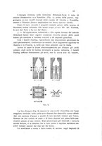 giornale/CFI0343582/1917/V.7/00000081