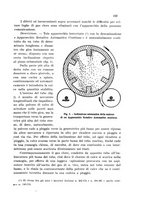 giornale/CFI0343582/1933/unico/00000171