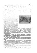 giornale/CFI0343582/1933/unico/00000379