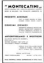 giornale/CFI0343582/1937/unico/00000115