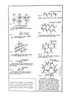 giornale/CFI0343582/1939/unico/00000262