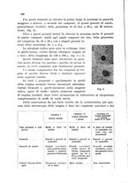 giornale/CFI0343582/1941/unico/00000180