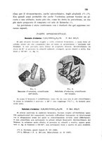 giornale/CFI0343582/1943/unico/00000161