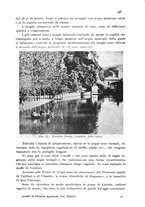 giornale/CFI0343582/1943/unico/00000285