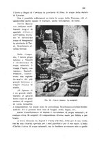 giornale/CFI0343582/1943/unico/00000293