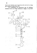 giornale/CFI0343582/1945/unico/00000056