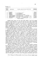 giornale/CFI0343582/1945/unico/00000101