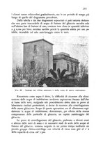 giornale/CFI0343582/1945/unico/00000225